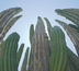 road trip en basse californie