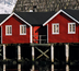 norvège - fjords de norvège et îles lofoten
