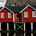 norvège - fjords de norvège et îles lofoten