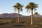combiné tenerife - lanzarote en hôtels de charme
