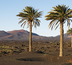 combiné tenerife - lanzarote en hôtels de charme