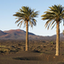 combiné tenerife - lanzarote en hôtels de charme