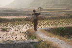 guizhou : à la rencontre des miaos