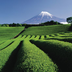 le japon, entre modernité et tradition