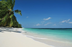 dream yacht, des voiles dans le vent