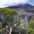réunion créole