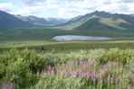 le yukon, terre de légendes