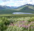 le yukon, terre de légendes
