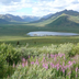 le yukon, terre de légendes