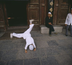 pékin, datong, pingyao : là où tout commença...