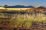 road trip en namibie