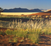 road trip en namibie