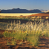 road trip en namibie