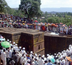 merveilleuse abyssinie