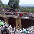 merveilleuse abyssinie