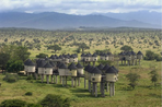 des éléphants du tsavo aux plages de l'océan indien