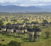 des éléphants du tsavo aux plages de l'océan indien