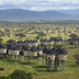 des éléphants du tsavo aux plages de l'océan indien