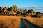 madagascar & kenya : retour à la vie sauvage