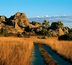madagascar & kenya : retour à la vie sauvage