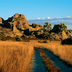 madagascar & kenya : retour à la vie sauvage