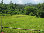 la thaïlande en train, un voyage 