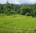 la thaïlande en train, un voyage 