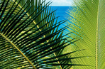 seychelles: le bonheur tout simplement