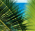 seychelles: le bonheur tout simplement