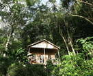 jungle bay, 100% nature