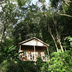 jungle bay, 100% nature