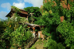 tendacayou: une habitation haute en couleurs