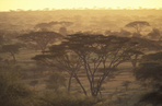 la tanzanie à vol d'oiseau