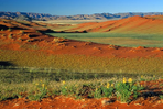 namibie - les griffes du soleil