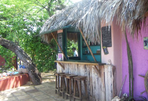 chez jake's, le rendez-vous rasta chic