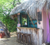 chez jake's, le rendez-vous rasta chic