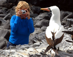 de la sierra aux îles galapagos