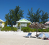 eleuthera, bahamas - pieds dans l'eau au cocodimama
