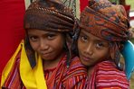 séjour bali-célèbes - des rizières d'ubud au pays toraja