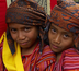 séjour bali-célèbes - des rizières d'ubud au pays toraja