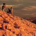 explora en atacama, la nature dans tous ses états