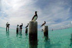 posada la cigala : los roques côté charme