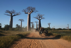 madagascar : des couleurs, la vie !