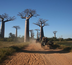 madagascar : des couleurs, la vie !