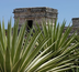 aventure au pays maya