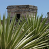 aventure au pays maya