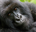 a la rencontre du rwanda