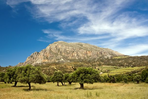 terre crétoise
