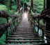 shikoku : terre de pèlerinage