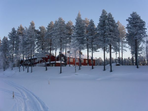 forest hotel - une laponie authentique